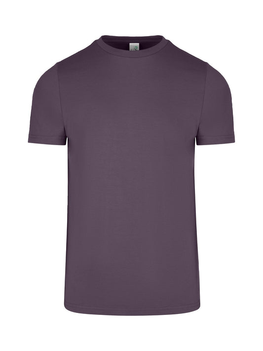 Ramo Mens Slim Fit Tees (2nd color) (T802HB)
